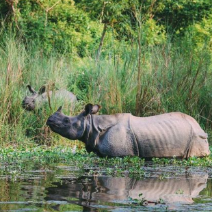 Nepal Tour Package From Gorakhpur